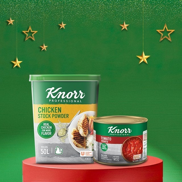 knorr professional