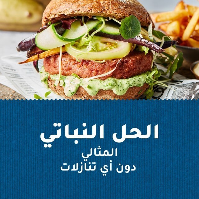 هيلمنز فيجن مايونيز:  حل مثالي نباتي لا يساوم على المذاق أو القوام