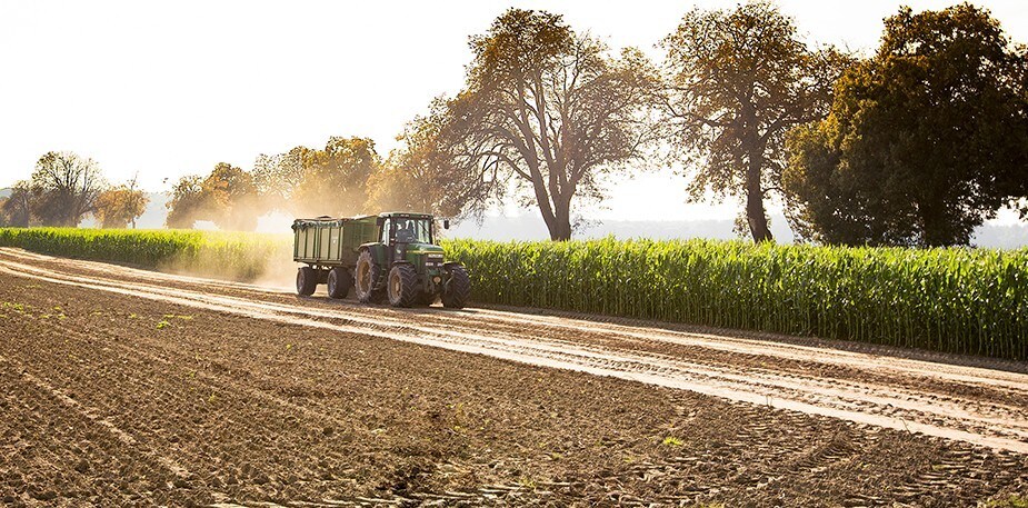 ستصبح منتجات كنور عمّا قريب ذات مصادر مستدامة