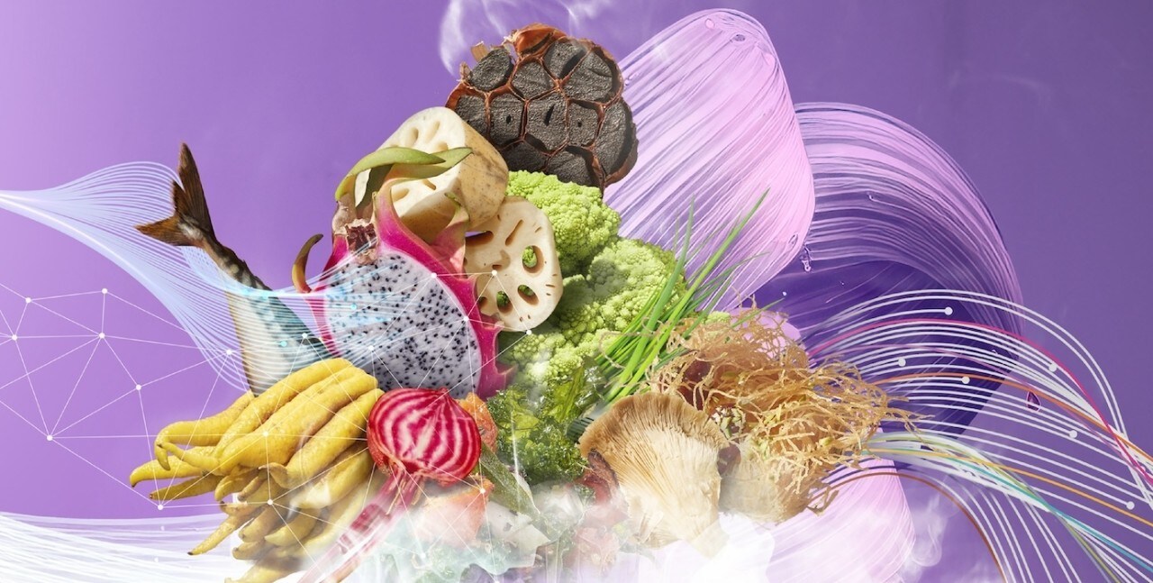 قوائم الطعام المستقبلية لعام 2024