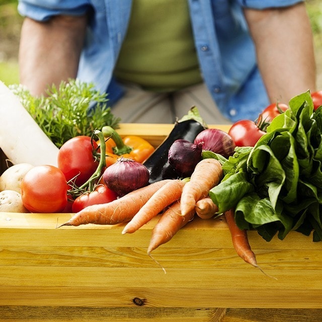 Plant-Based is Trending: Don’t miss out on this business opportunity!