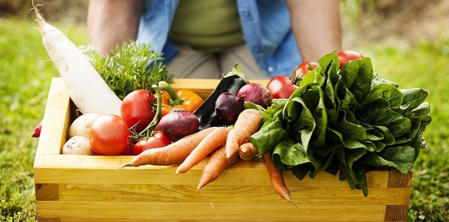 Plant-Based is Trending: Don’t miss out on this business opportunity!