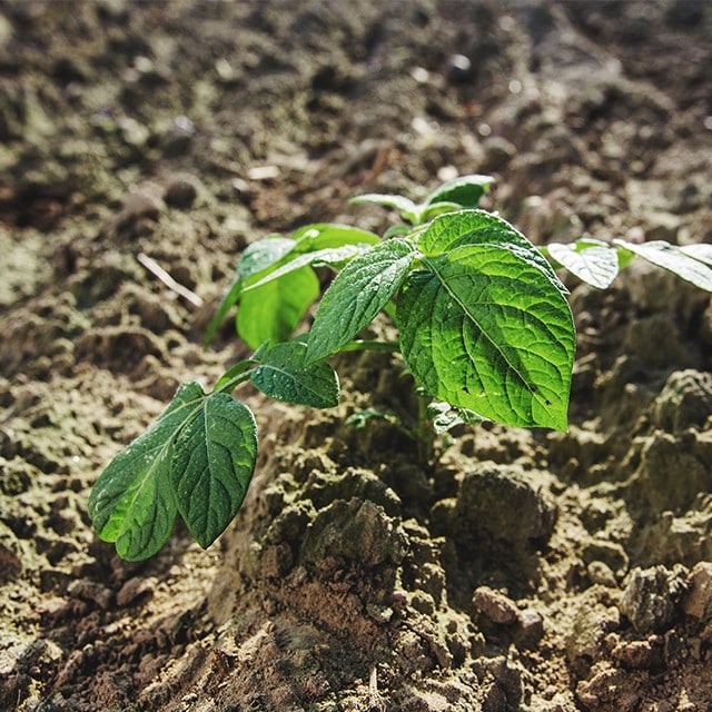 Discover our commitment to sustainability and explore our initiatives to create a more responsible