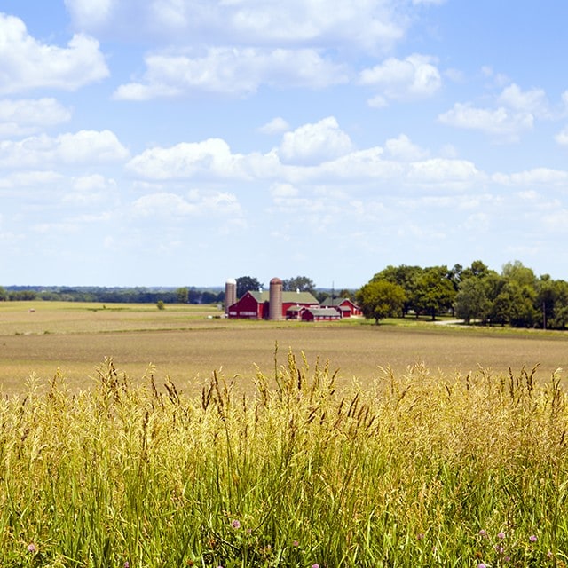 Infographic: Learn how we are becoming more sustainable