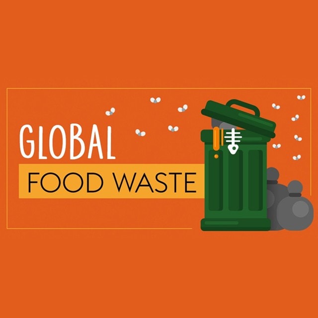 Infographic: Food Waste across the Globe