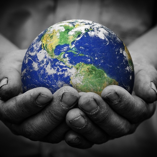 Eco-friendly kitchen tips: Help the environment in your kitchen