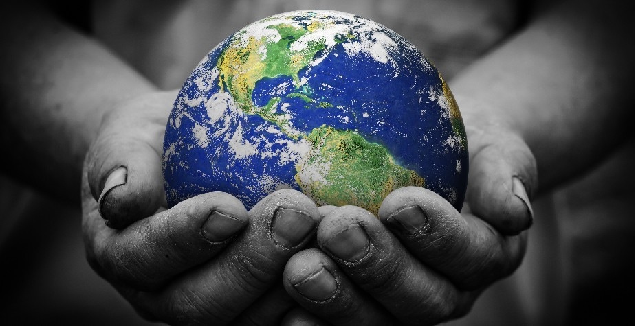 Eco-friendly kitchen tips: Help the environment in your kitchen